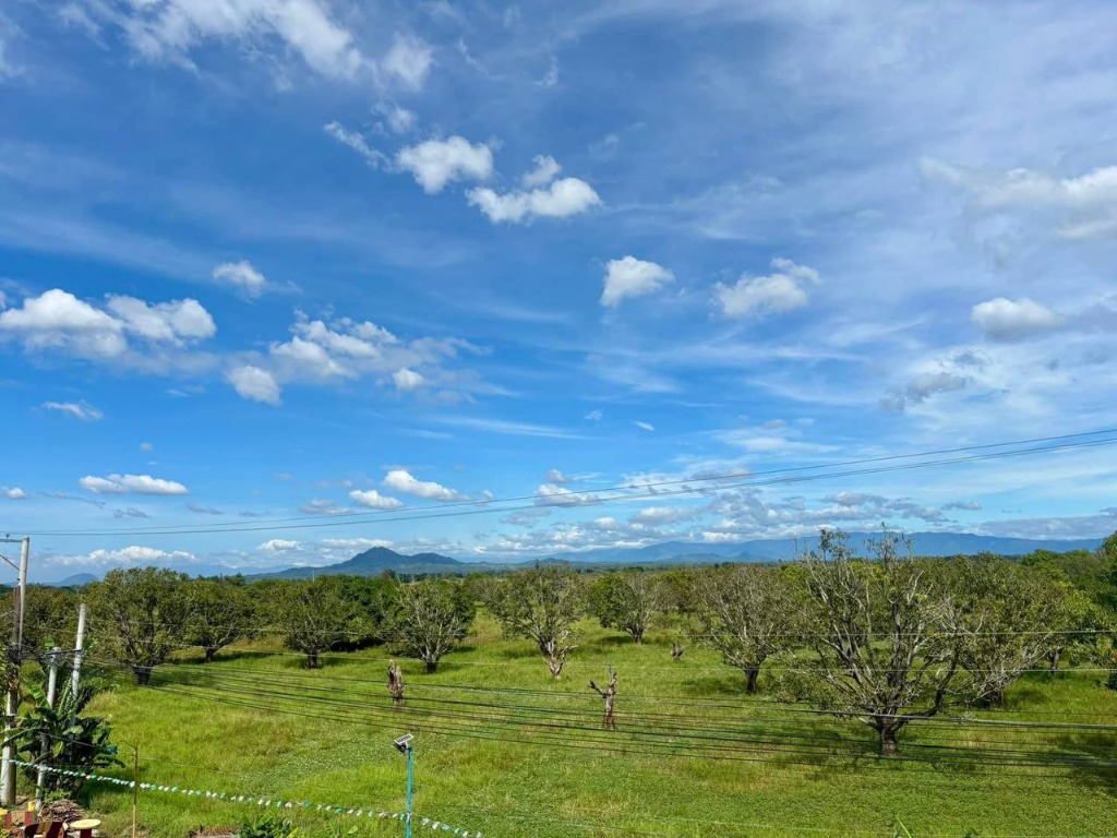 Badz Kitchen Interior